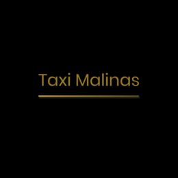 Taxi Malinas